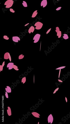 かわいいシンプルなピンク色の桜の花びらが舞い続ける桜吹雪のループアニメーション縦長ビデオ（アルファチャンネル付）