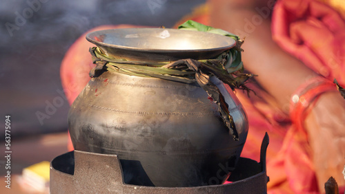 Pongal festival Tamil
