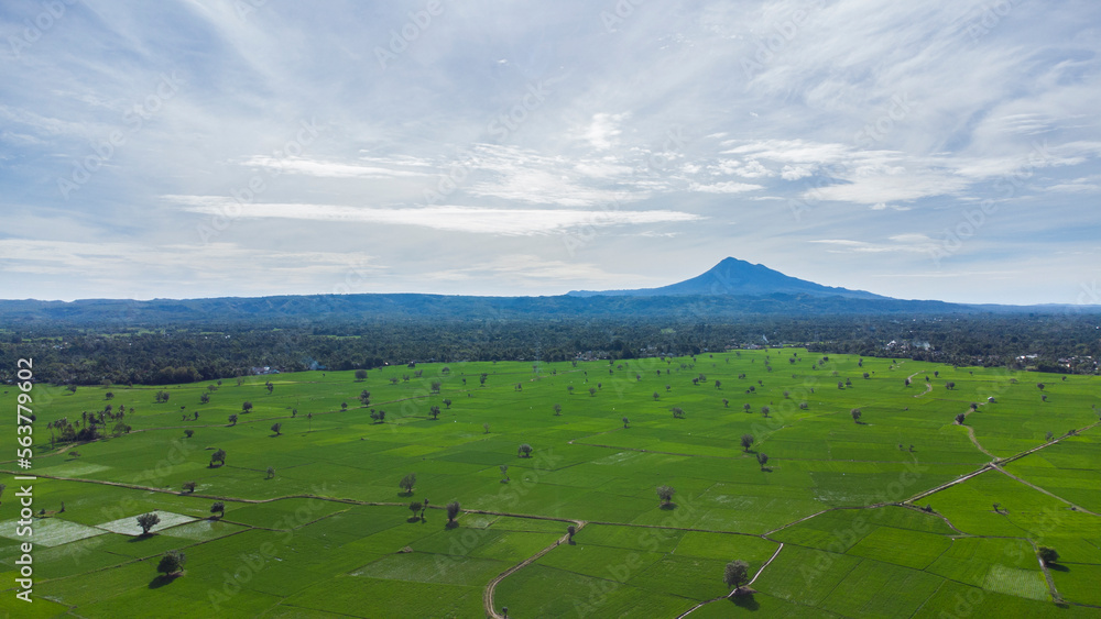 Rice fields and Mount Seulawah Agam