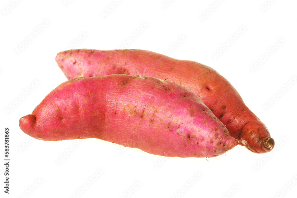 sweet potato on the white background sweet potato on the white background