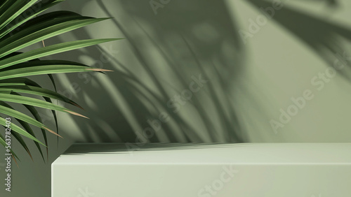Modern minimal empty matte green counter table top, bamboo palm tree in sunlight, leaf shadow on green wall background for luxury organic cosmetic, skin care, beauty treatment product display 3D