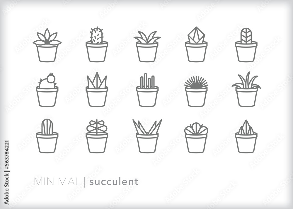 Set of succulent line icons of potted house plants for decor on a desk or in the home Set of succulent line icons of potted house plants for decor on a desk or in the home