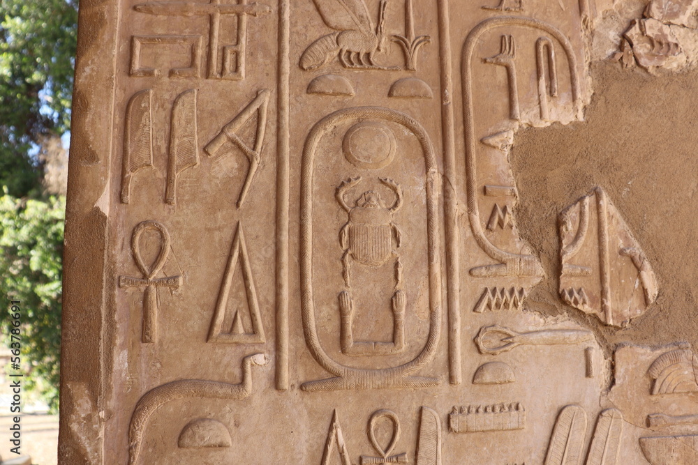 Ancient egyptian hieroglyphs and pharoah's cartouche at Karnak temple in Luxor 