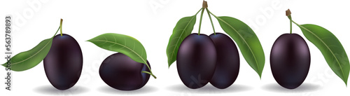 Realistic black sweet plum