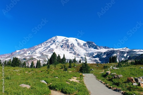 Mt. Rainier National Park