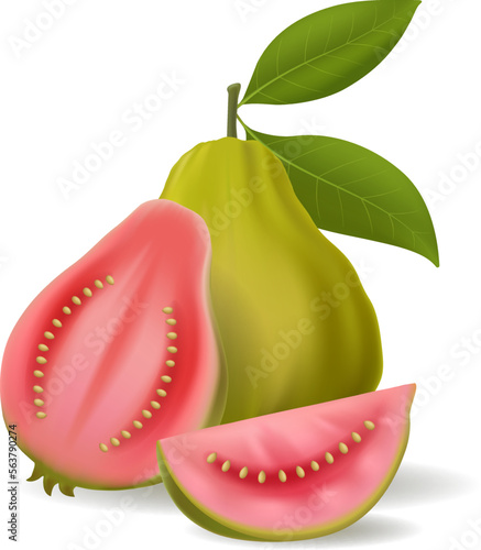 Green guava fruit