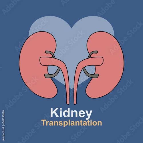kidney transplantation,Cleansing and transfusion of blood through a dialysis machine,Modern process inner organs disease treatment,Vector illustration.