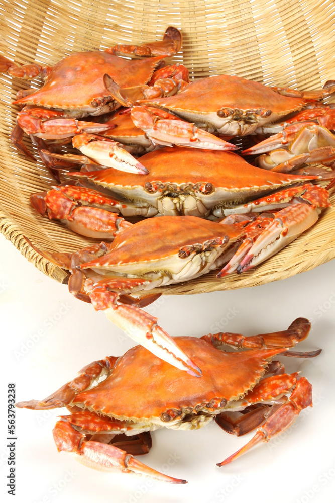 steamed crab on white background