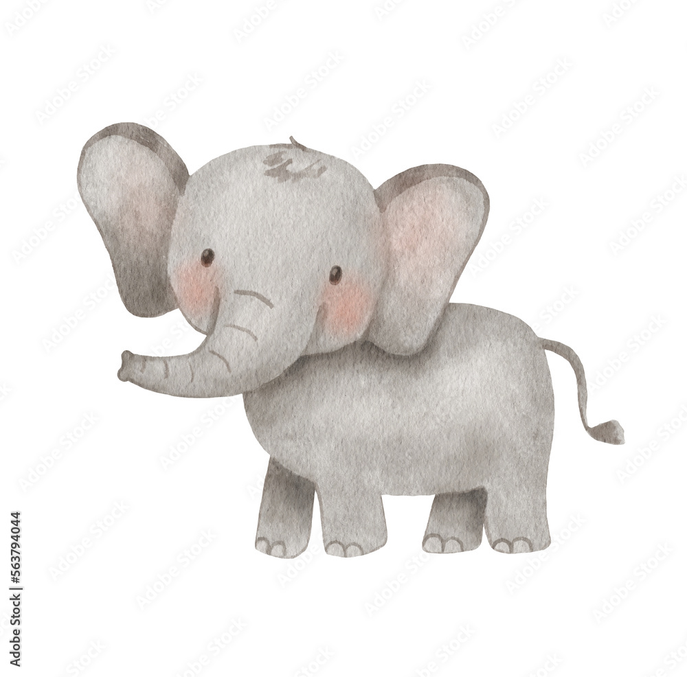 Cute elephant in cartoon style. Watercolor Drawing african baby wild animal isolated on white background. Jungle safari animal