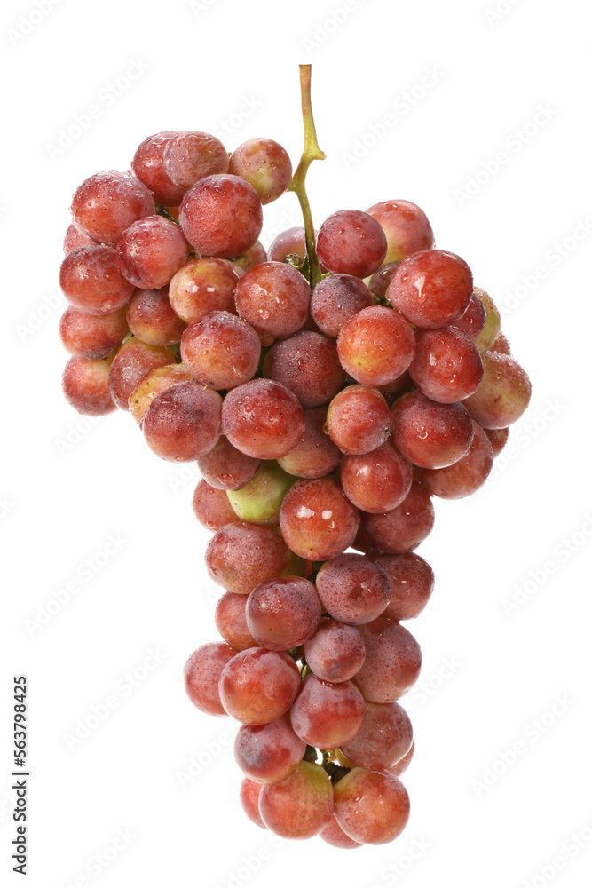 red grape on white background red grape on white background