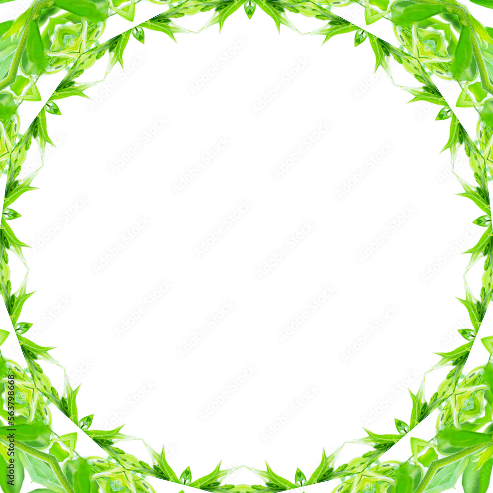 A green plant circle frame, computer generated A green plant circle frame, computer generated