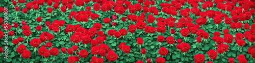 Gorgeous red roses - panoramic illustration of colorful red rose flowers. Showing pretty petals, these fragile plants are eye-appealing and beloved. Made by generative AI