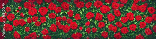 Gorgeous red roses - panoramic illustration of colorful red rose flowers. Showing pretty petals, these fragile plants are eye-appealing and beloved. Made by generative AI © Brian