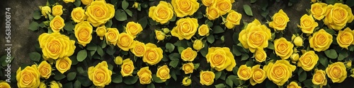 Gorgeous yellow roses - panoramic illustration of colorful yellow flowers. Showing pretty petals  these fragile plants are eye-appealing and beloved. Made by generative AI