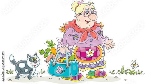Funny chubby housewife and a her merry cat walking with a bag full of groceries after shopping, vector cartoon illustration isolated on a white background