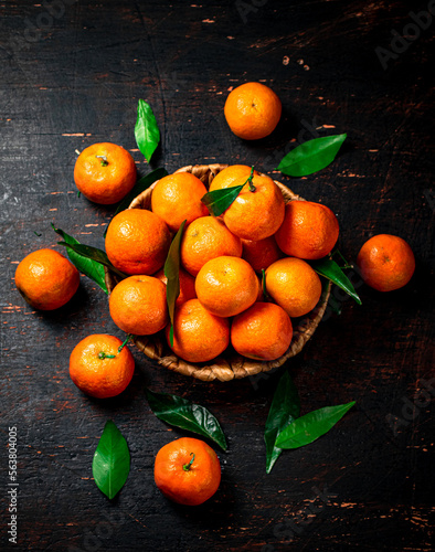 Fresh tangerines with leaves in a basket. 