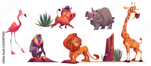 African wild animals from safari park, zoo or savanna in Africa. Cute characters of hippo, lion, giraffe, baboon, flamingo and warthog isolated on white background, vector cartoon set photo