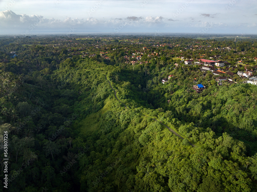 Aerial view of artist trail in Ubud, Bali.