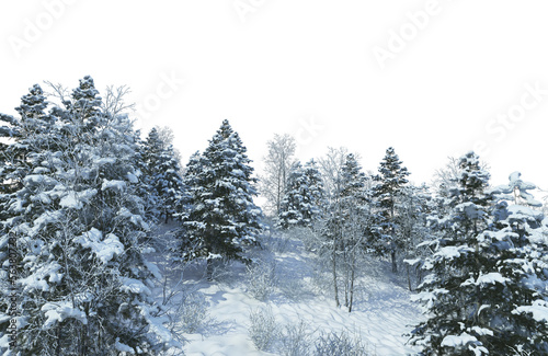 3D render forest and nature in winter
