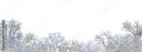 Fototapeta Naklejka Na Ścianę i Meble -  3D render forest and nature in winter