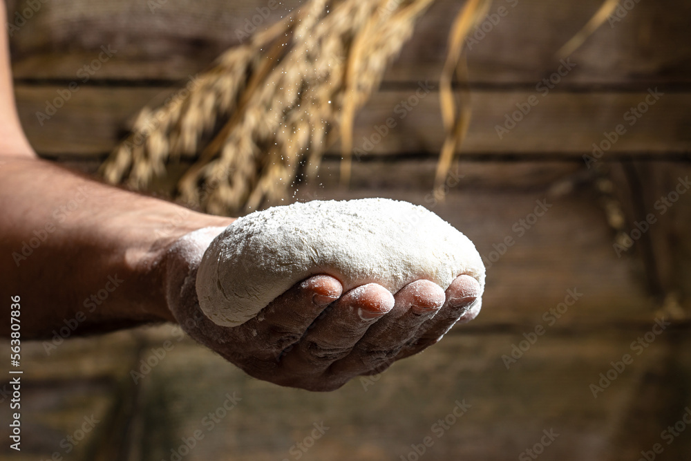 Obraz premium Kneading the Dough, hands making dough for pizza or bread
