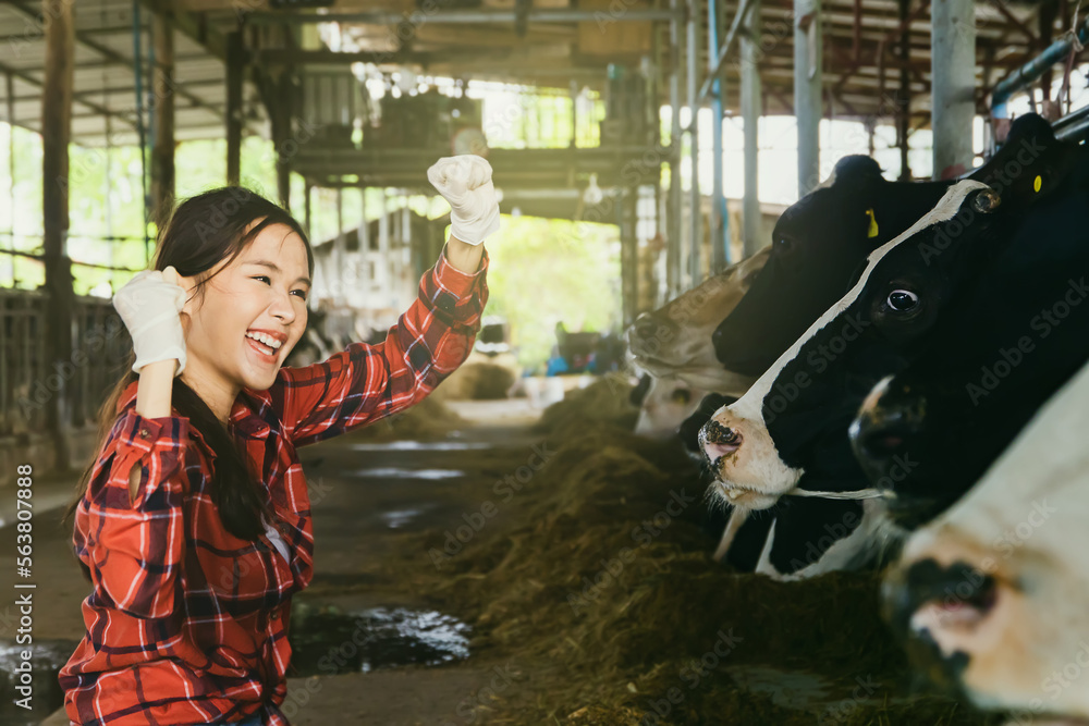 Happy female farmer raising fist in motion, tending healthy and quality cows in a modern and standardized cattle farm : Asian farmer raising cows takes care of the dairy business on the ranch.