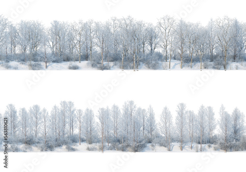 3D render forests and nature during winter