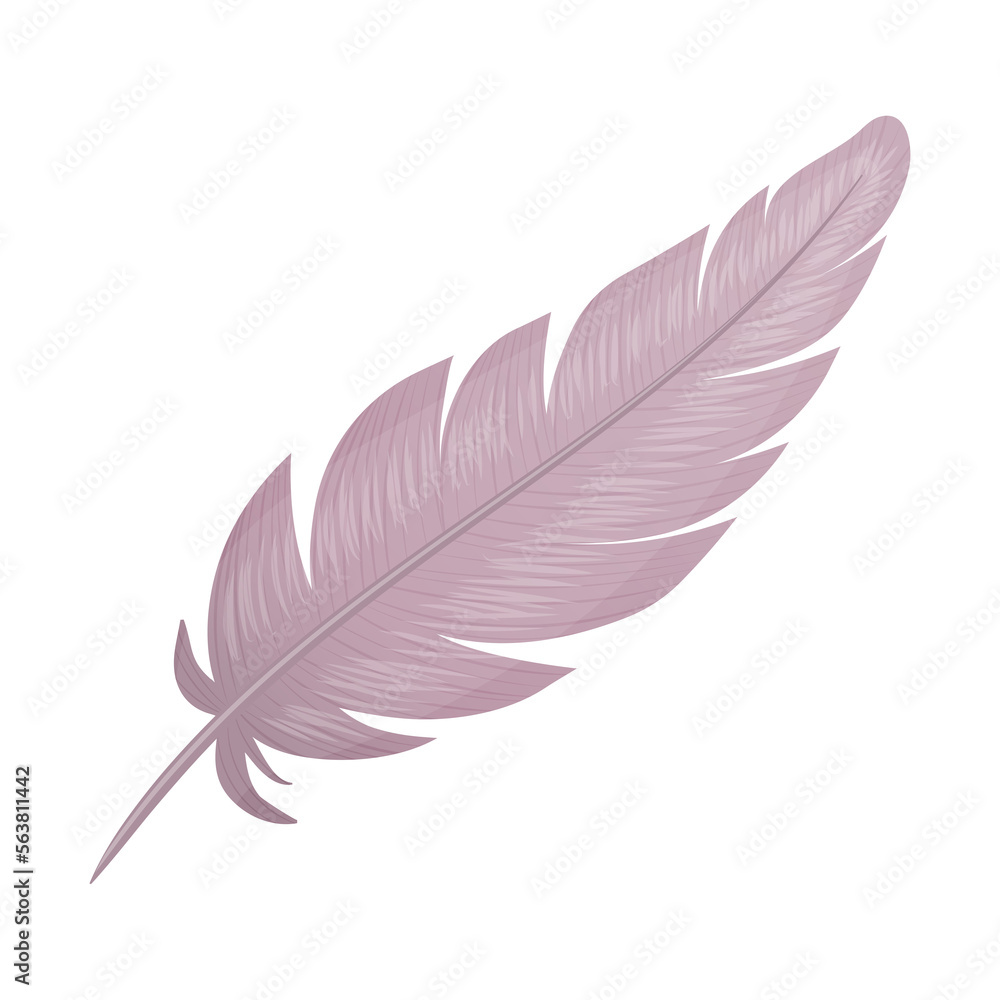 Birds feather. Cartoon style. Birds feather. Cartoon style.