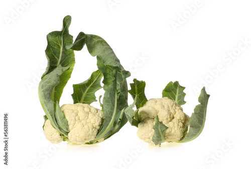 Cauliflower on white background photo