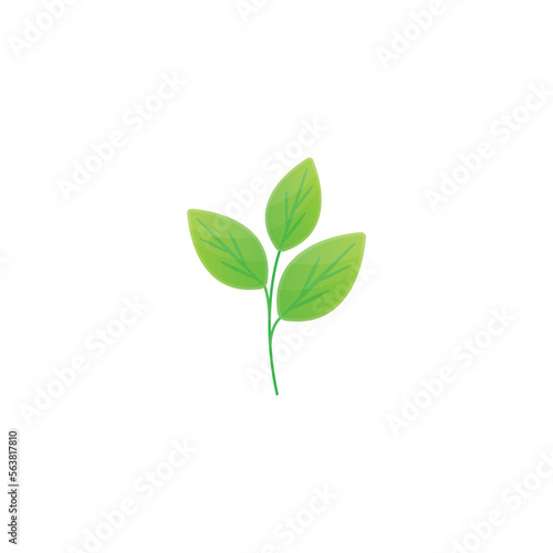 Green leaves illustration drawing. 