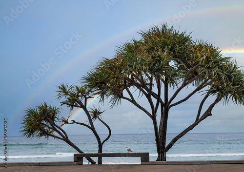 Surfers Paradise is a seaside resort on Queensland's Gold Coast in eastern Australia.