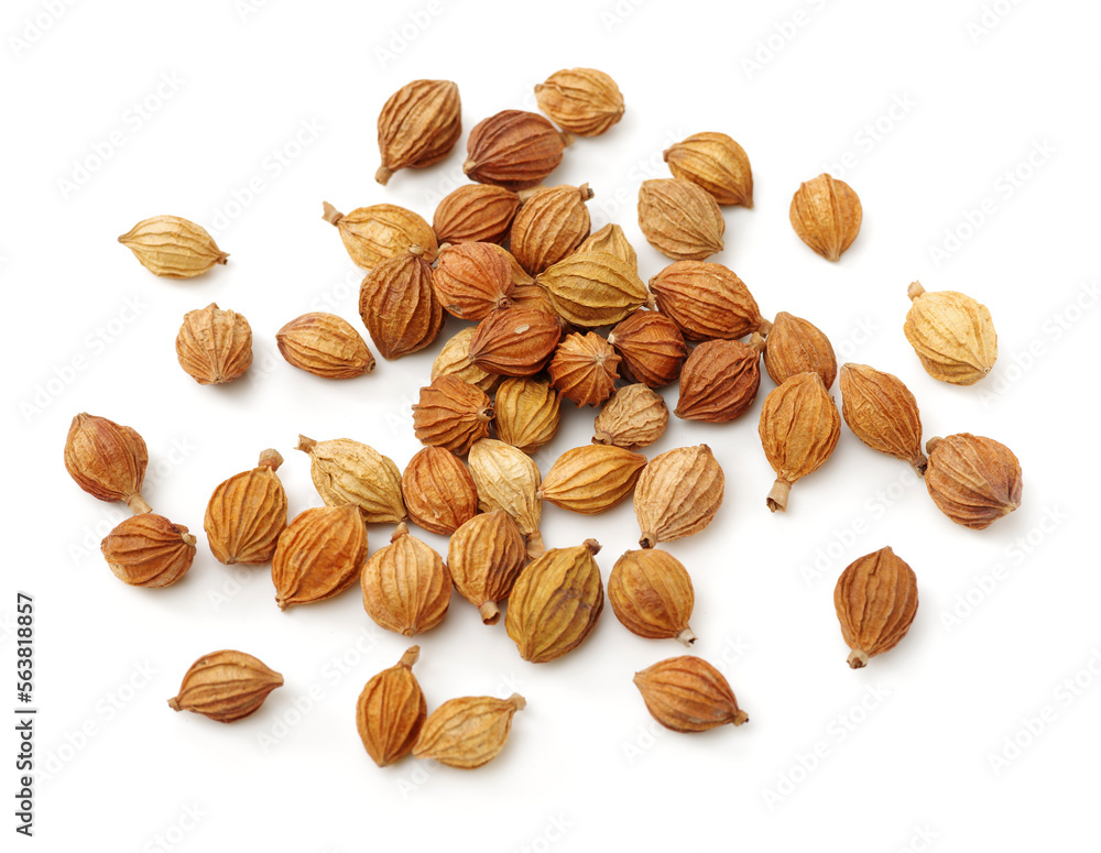 Dried Herbs, Latin name: Amomum villosum Lour. Chinese name: Xiang Sha Ren and known as Cocklebur-like Amomum Fruit, Fructus Amomi, Villous Amomum Fruit , Chinese herb medicinal on white background
Dried Herbs, Latin name: Amomum villosum Lour. Chinese name: Xiang Sha Ren and known as Cocklebur-like Amomum Fruit, Fructus Amomi, Villous Amomum Fruit , Chinese herb medicinal on white background