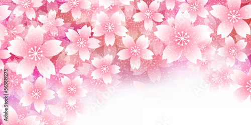 桜　和柄　春　背景  © KUU
