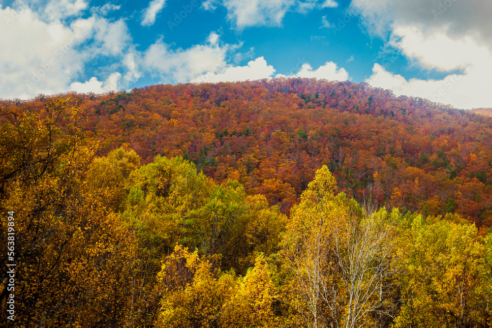 Autumn hillsides in the Smoky Mountains