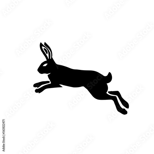 Jackrabbit