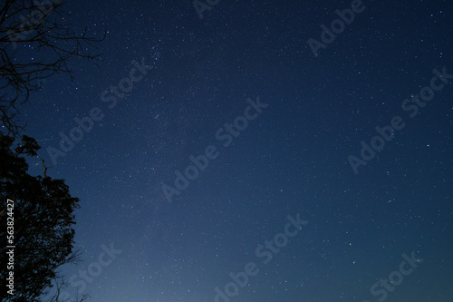 日本で見られる平地からの冬のオリオン座やスバルなどの星空と木のシルエット