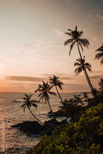 Mirissa, Sri Lanka : sunset over the ocean with palm trees in the foreground