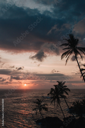 Mirissa, Sri Lanka : sunset over the ocean with palm trees in the foreground