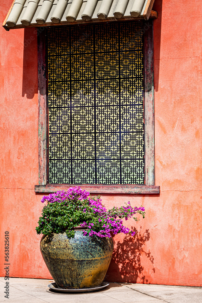 Rendered wall with Flowers in a pot underneath the decorative window