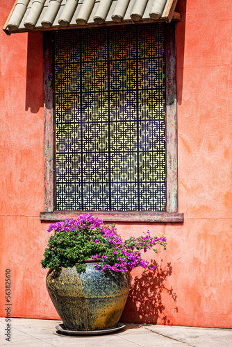 Obraz na płótnie Rendered wall with Flowers in a pot underneath the decorative window w salonie