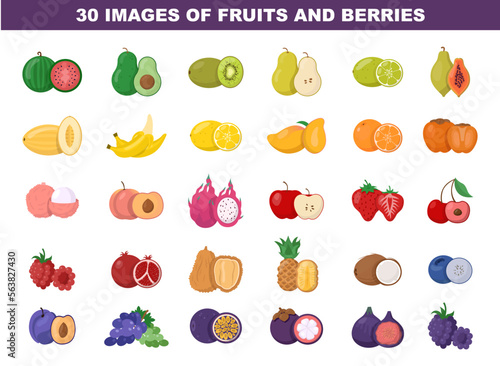 Fruits and berries colored images set. Bright detailed illustration of fresh