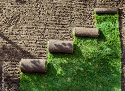 Stack of turf grass for lawn. roll of sod, turf grass roll.
