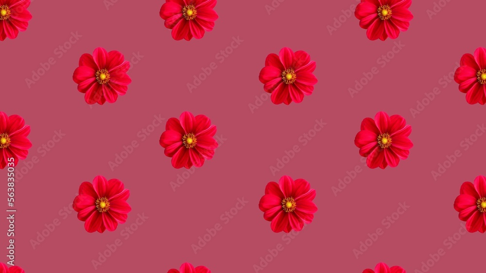 Obraz premium Flowers Wallpaper