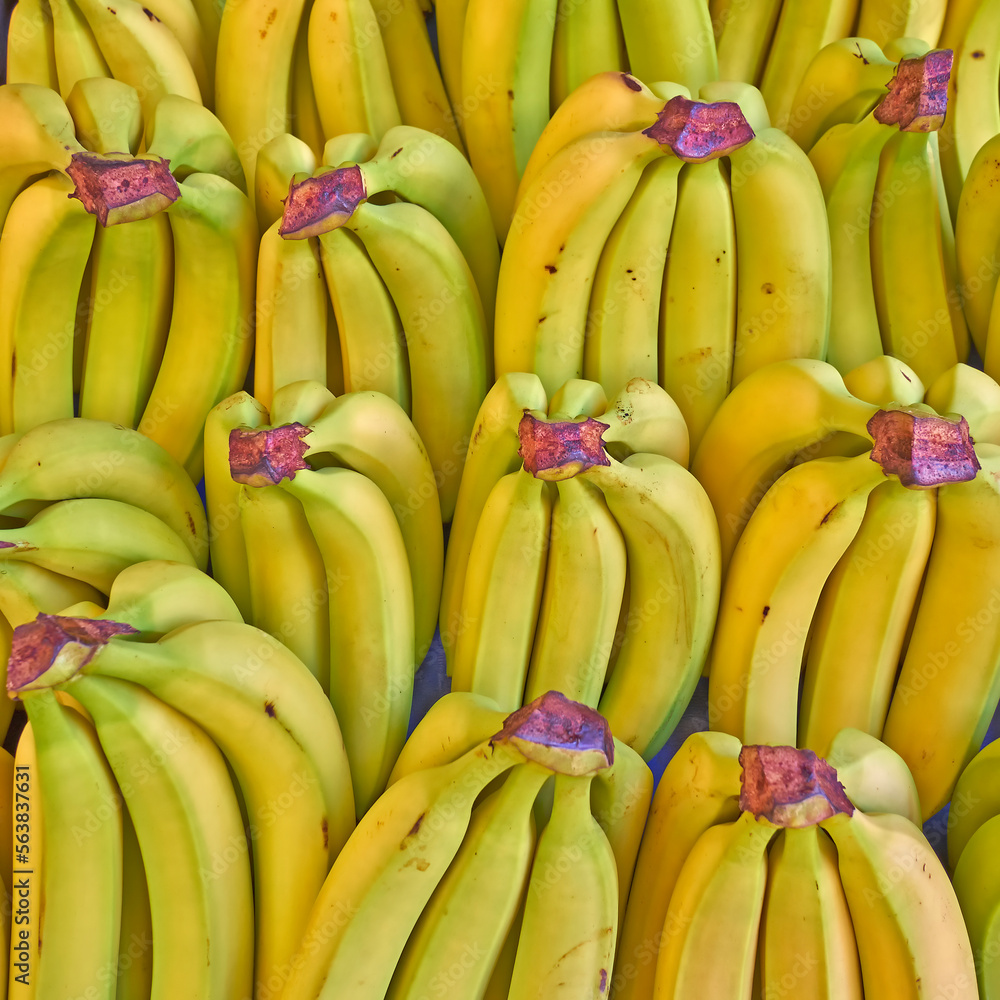 Bright yellow, ripe bananas top view close-up for sale. Colorful vegan food background.