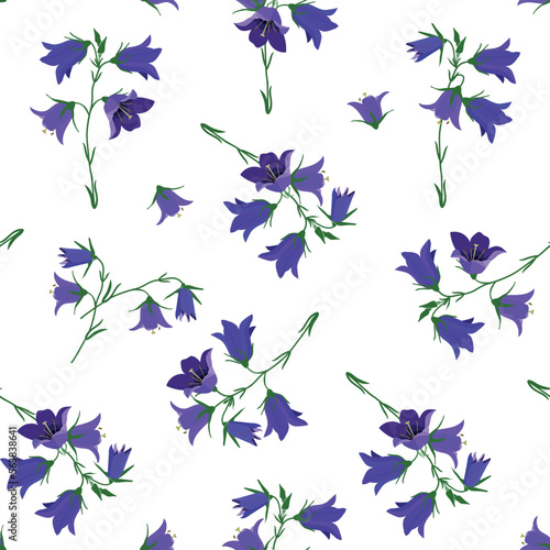 Seamless vector illustration with field bells on a white background.