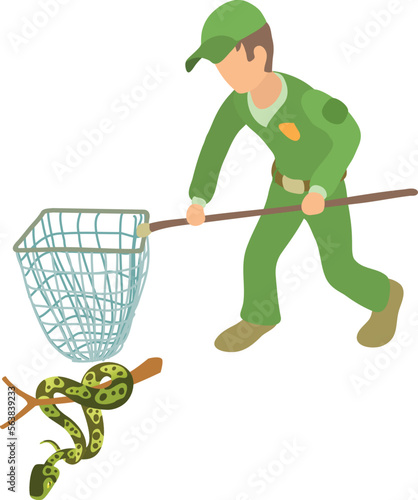 Tree python icon isometric vector. Man in uniform with landing net near python. Reptile capture, herpetology