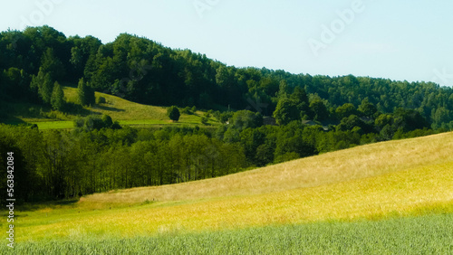 Landscape of meadow and hills in Wieżyca, Kashubian Region, Poland. © Jan