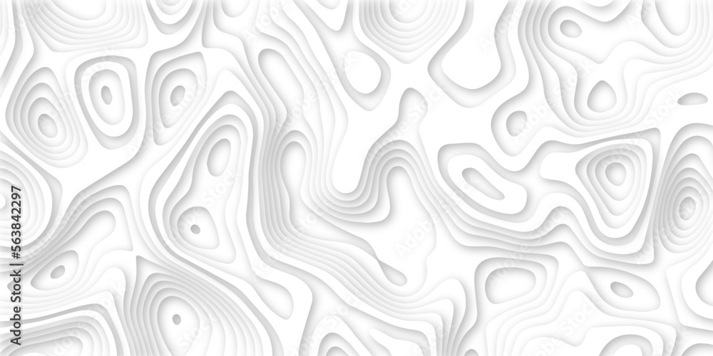 Abstract wavy line 3d paper cut white background. Topographic canyon geometric map relief texture with curved layers and shadow. Abstract realistic papercut decoration textured with wavy layers
Abstract wavy line 3d paper cut white background. Topographic canyon geometric map relief texture with curved layers and shadow. Abstract realistic papercut decoration textured with wavy layers