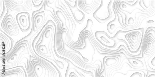 Abstract wavy line 3d paper cut white background. Topographic canyon geometric map relief texture with curved layers and shadow. Abstract realistic papercut decoration textured with wavy layers	
