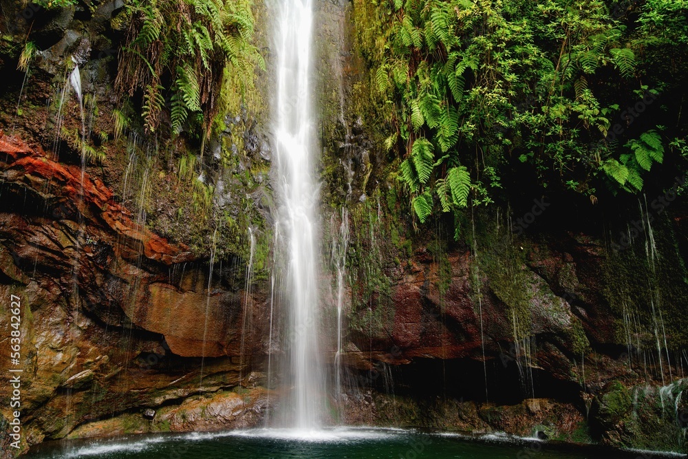 Obraz premium The Risco waterfall in Rabaçal in Madeira during the spring. The springs of the Risco waterfall flowing down the rock overgrown with greenery. 25 Fontes, Madeira, Portugal. 
